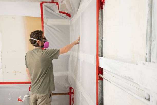 Best Mold Documentation for Insurance Claims  in Byron, MN