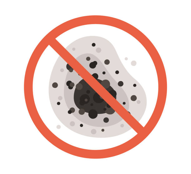 Best Air Quality Testing for Mold Spores  in Byron, MN