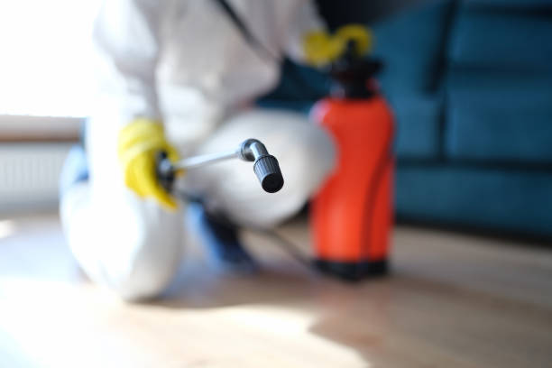 Environmental Consulting for Mold Prevention in Byron, MN