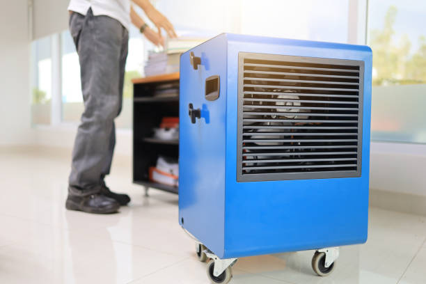 Best Forensic Mold Investigation  in Byron, MN