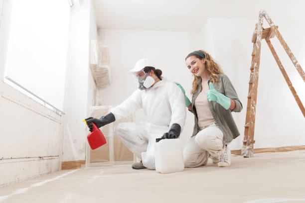 Best Attic Mold Removal  in Byron, MN