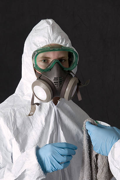 Best Real Estate Mold Inspection  in Byron, MN